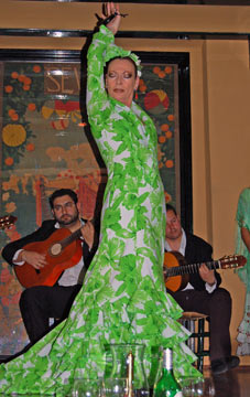 [El-Arenal-Flamenco.jpg]