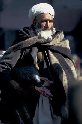 [Afghanistan.Kabul.1978.bmp]