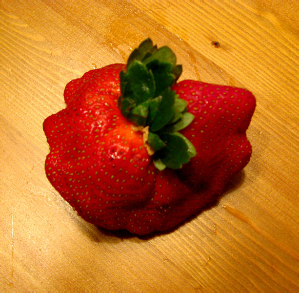 [2008-03-15-Strawberry001+1.jpg]