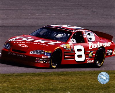 [Dale-Earnhardt-Jr---Budweiser-Car-on-Track-Photograph-C10119706.jpeg]