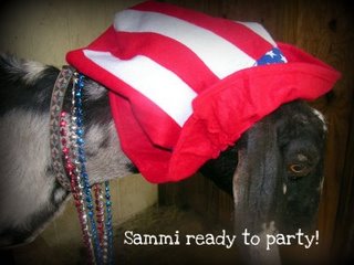 [sammi+ready+to+party.jpg]