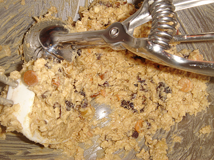 [oatmeal+cookie+dough.jpg]