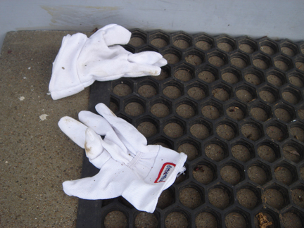 [mini+gloves.jpg]