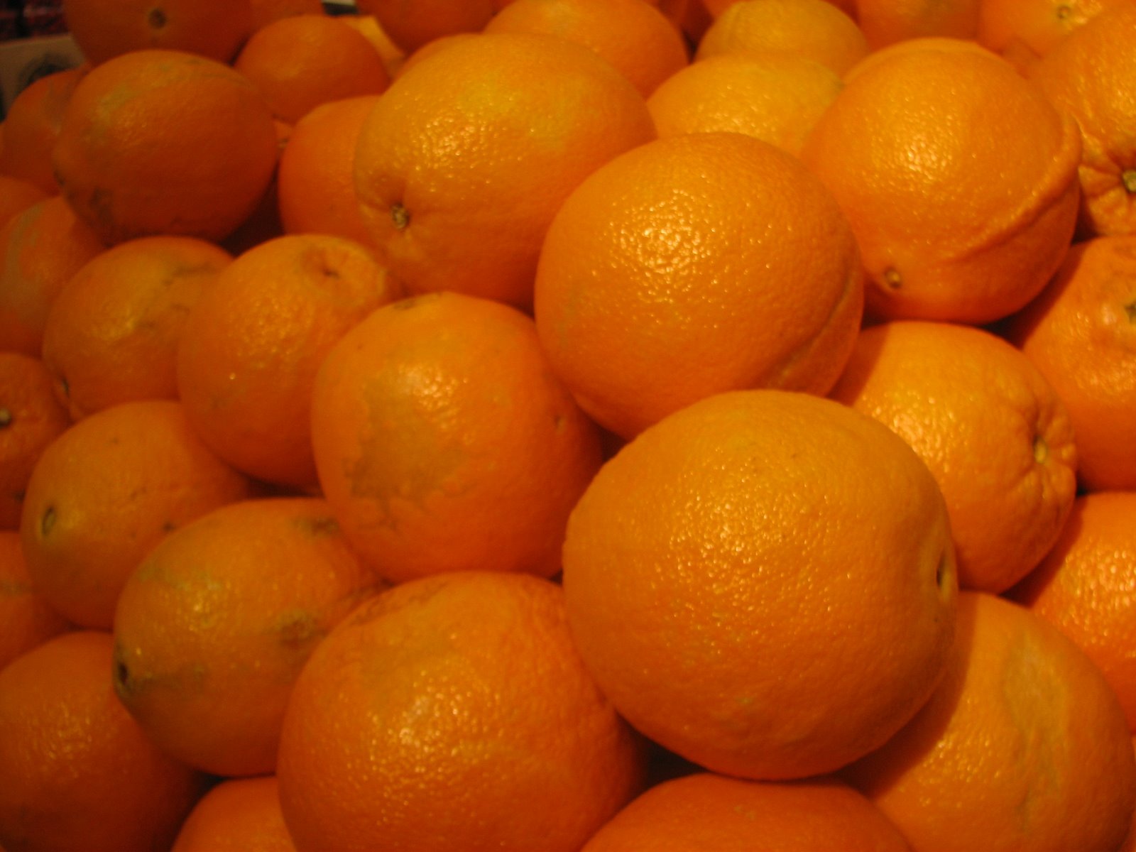 [oranges.JPG]