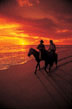 [Horseback+Riding+in+Cabo.jpg]