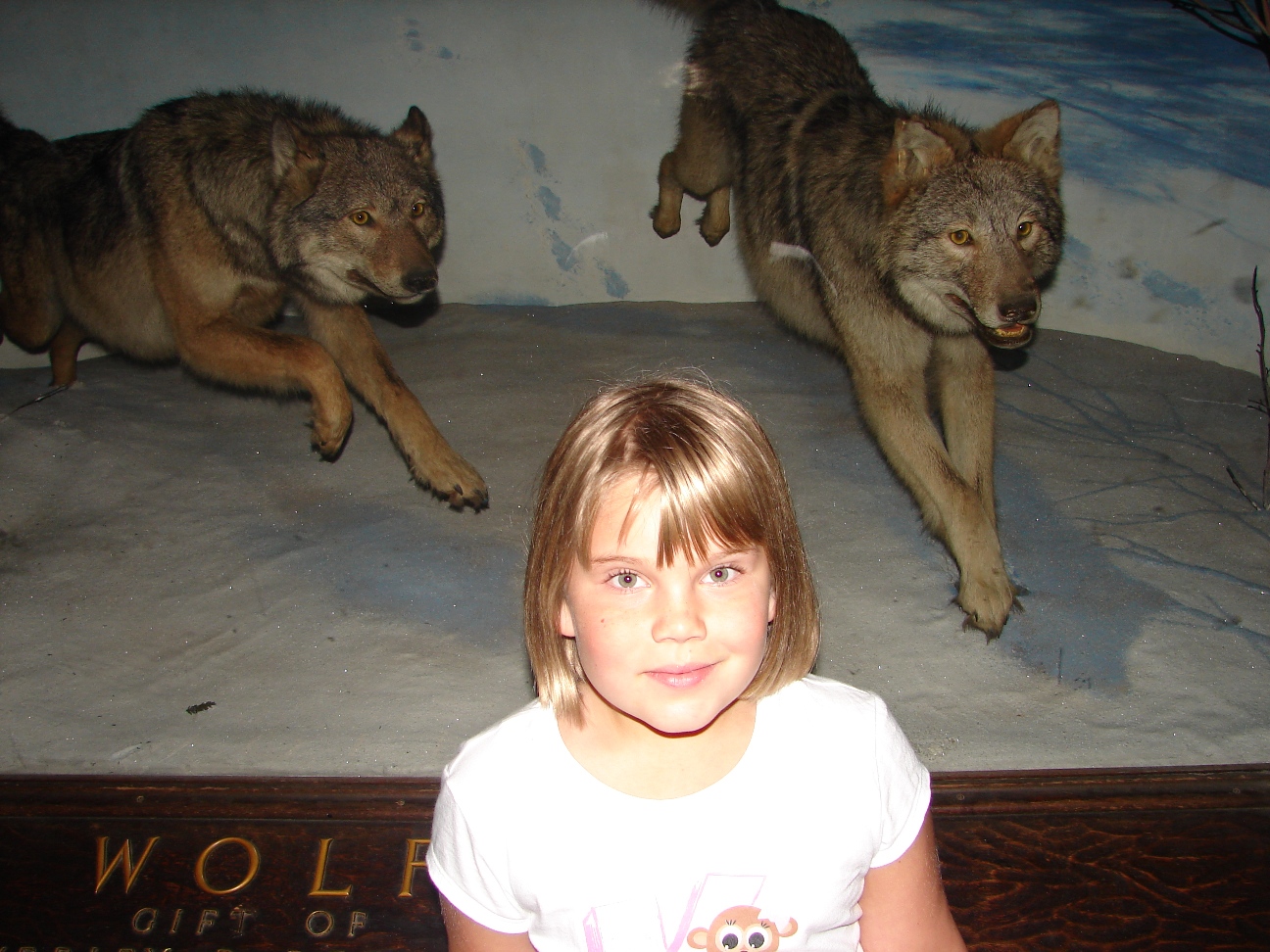 [wolves+at+Museum+of+Natural+History.JPG]