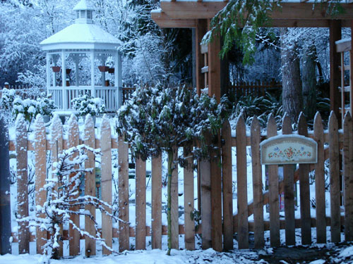 [sideyard-in-snow-3-1-07.jpg]