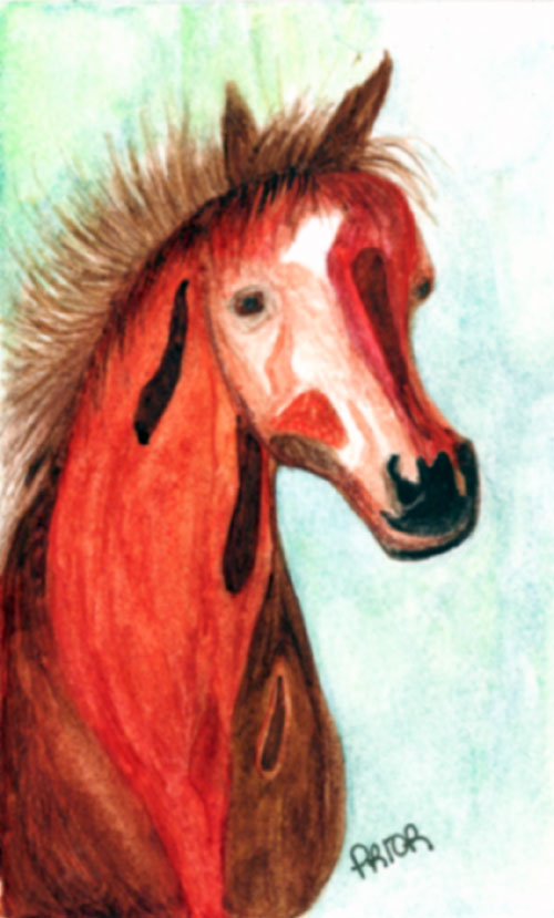 [Chesnut-horse.jpg]
