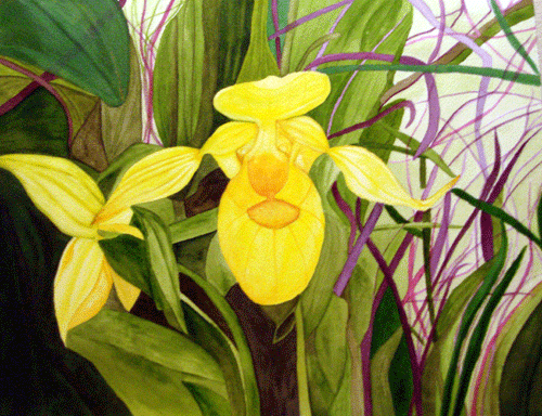 [yellow-orchid-watercolor-wi.gif]