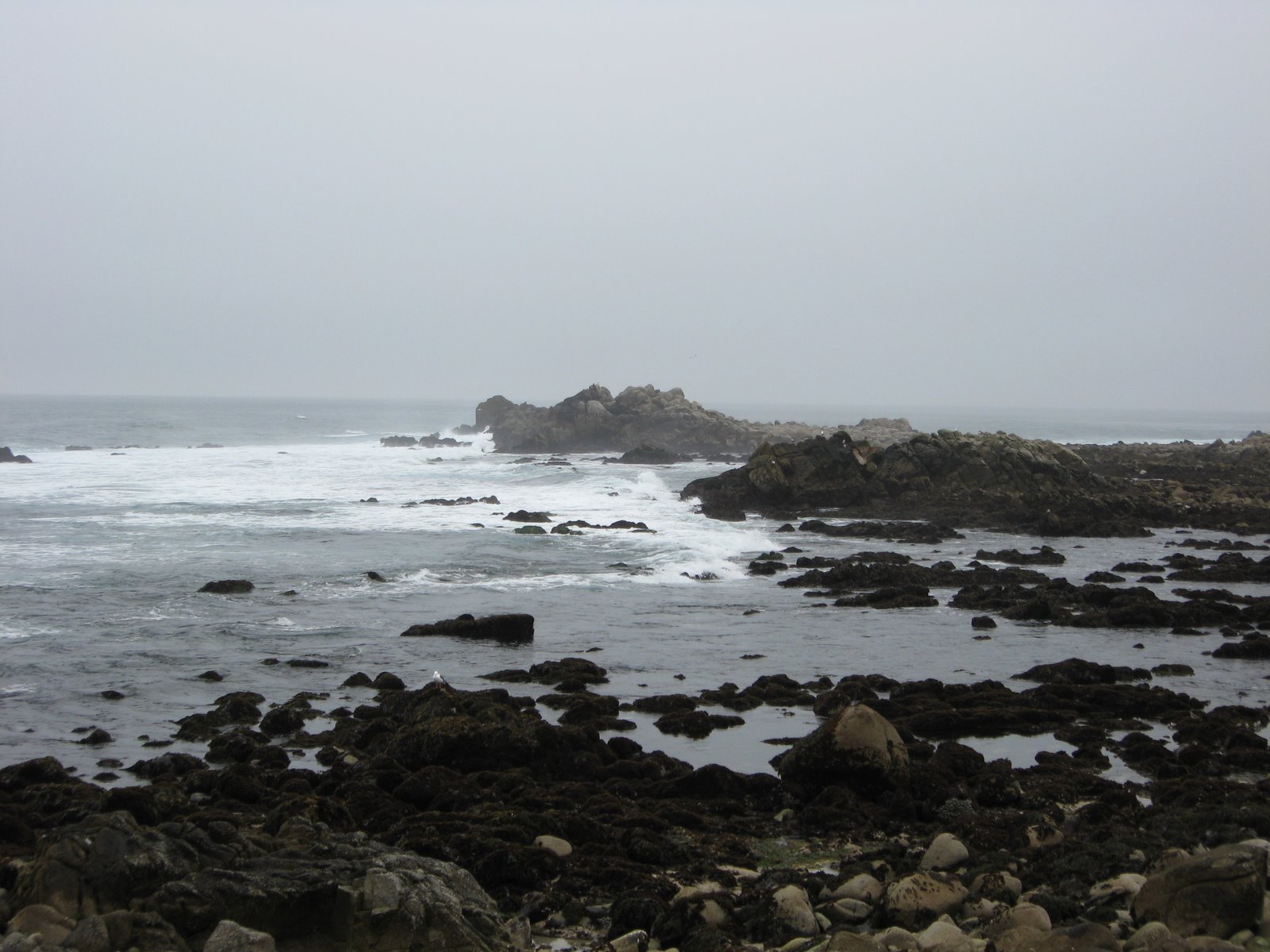 [Monterey+Feb.+2008+019.JPG]