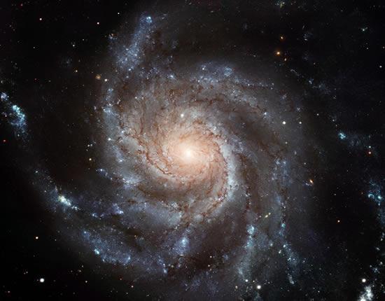 [galaxia-m101.jpg]