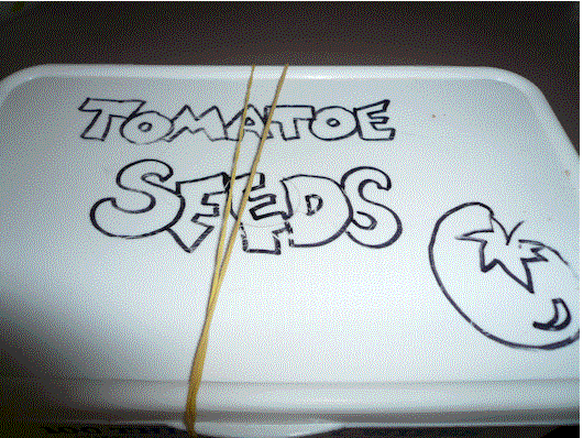 [tom+seeds.gif]