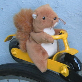 [squirrel+on+bike+R.jpg]