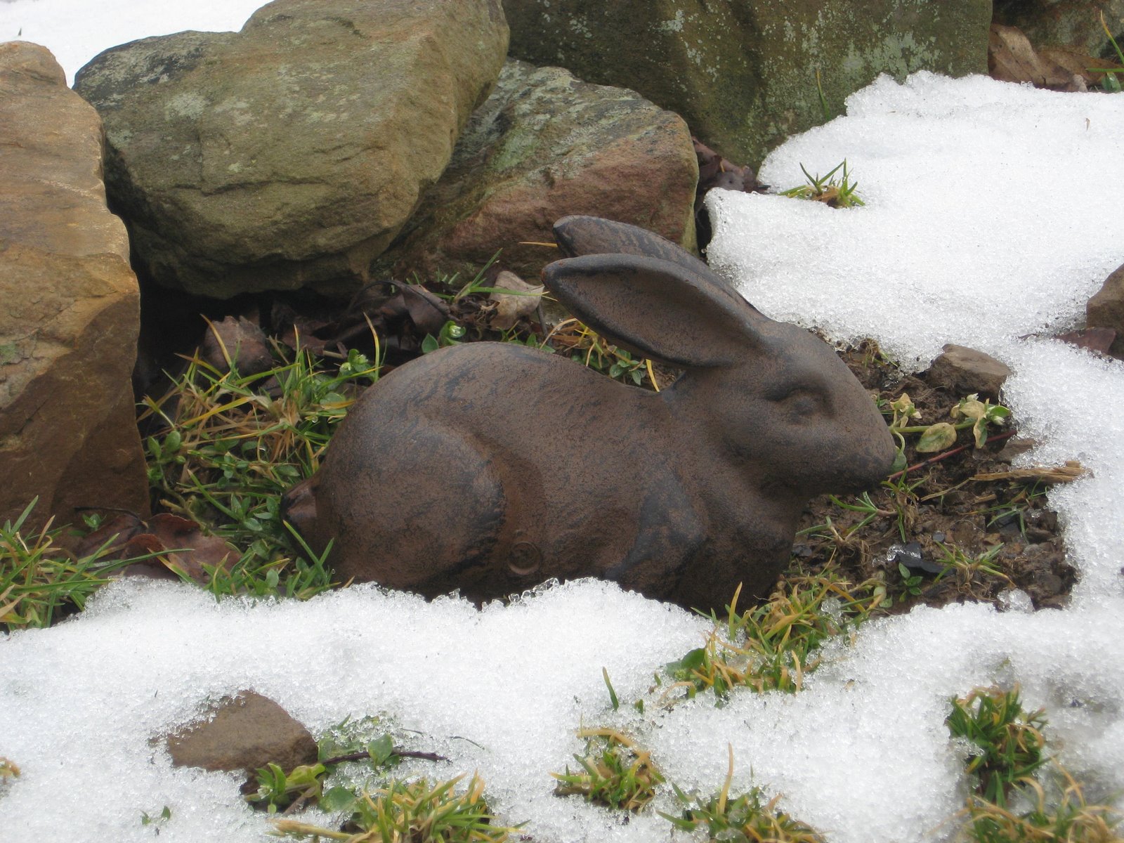 [iron+snow+bunny.jpg]