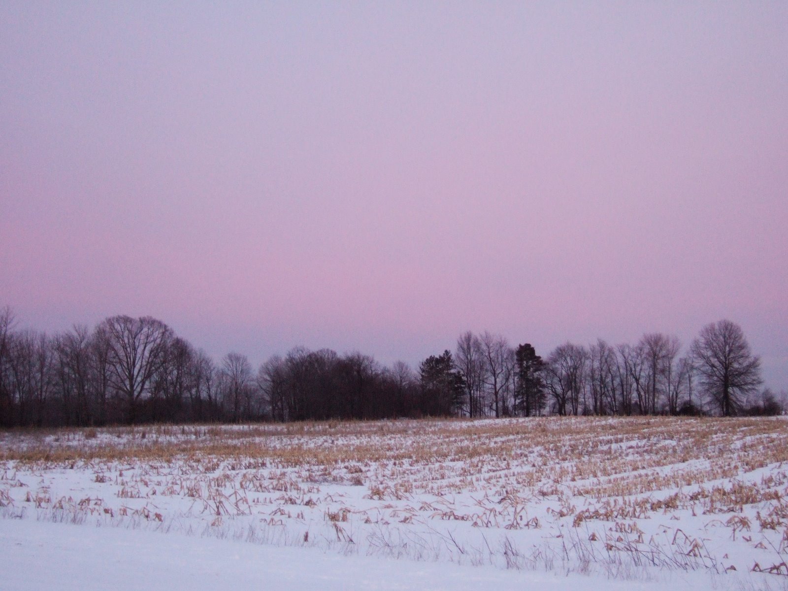[a_purple_february_sky.jpg]