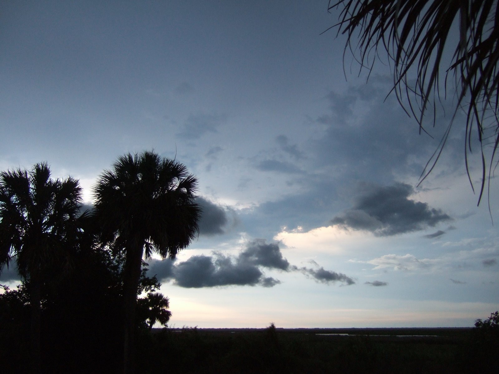 [palms_at_stormy_sunset.jpg]