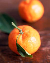 [mandarin+orange.jpg]