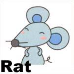 [Rat.jpg]