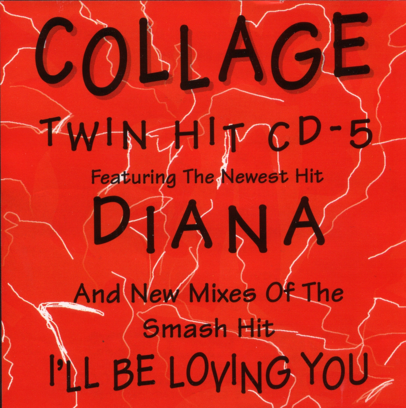 [Collage+Diana.JPG]