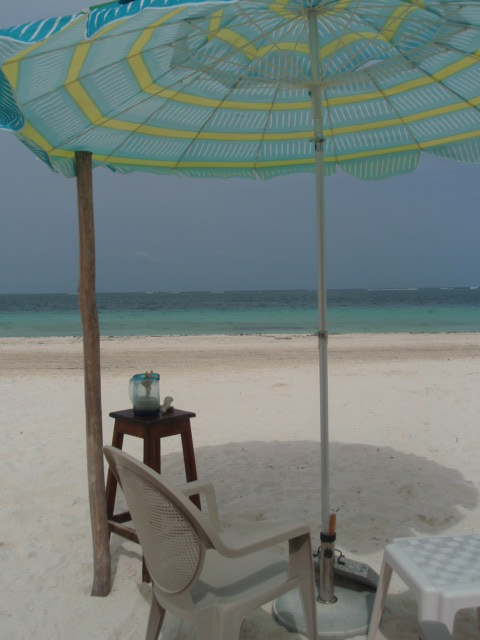 [beach+umbrella.jpg]