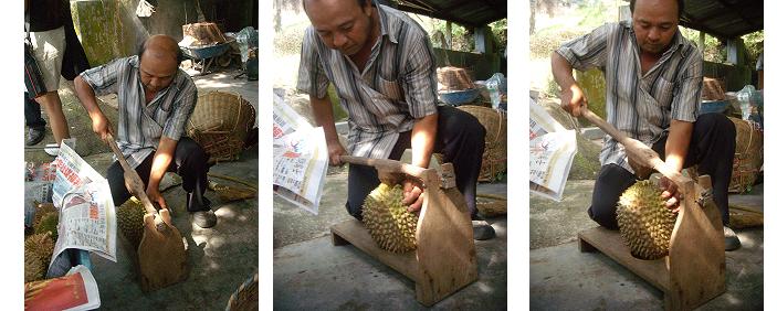 [UNCLE+OPEN+DURIAN.JPG]