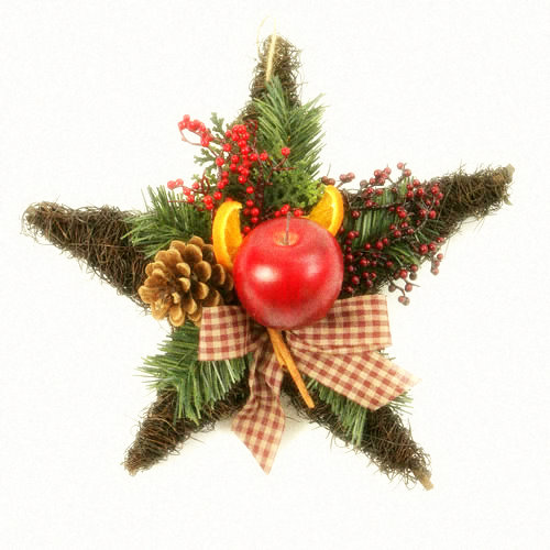 [Christmas+star1.jpg]