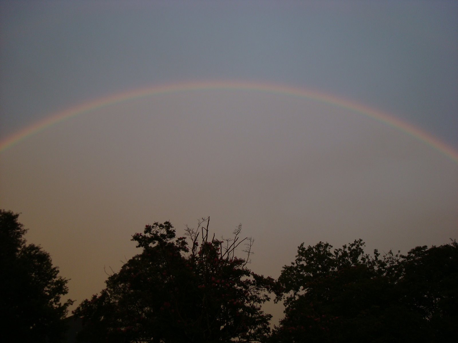 [rainbow+008.jpg]