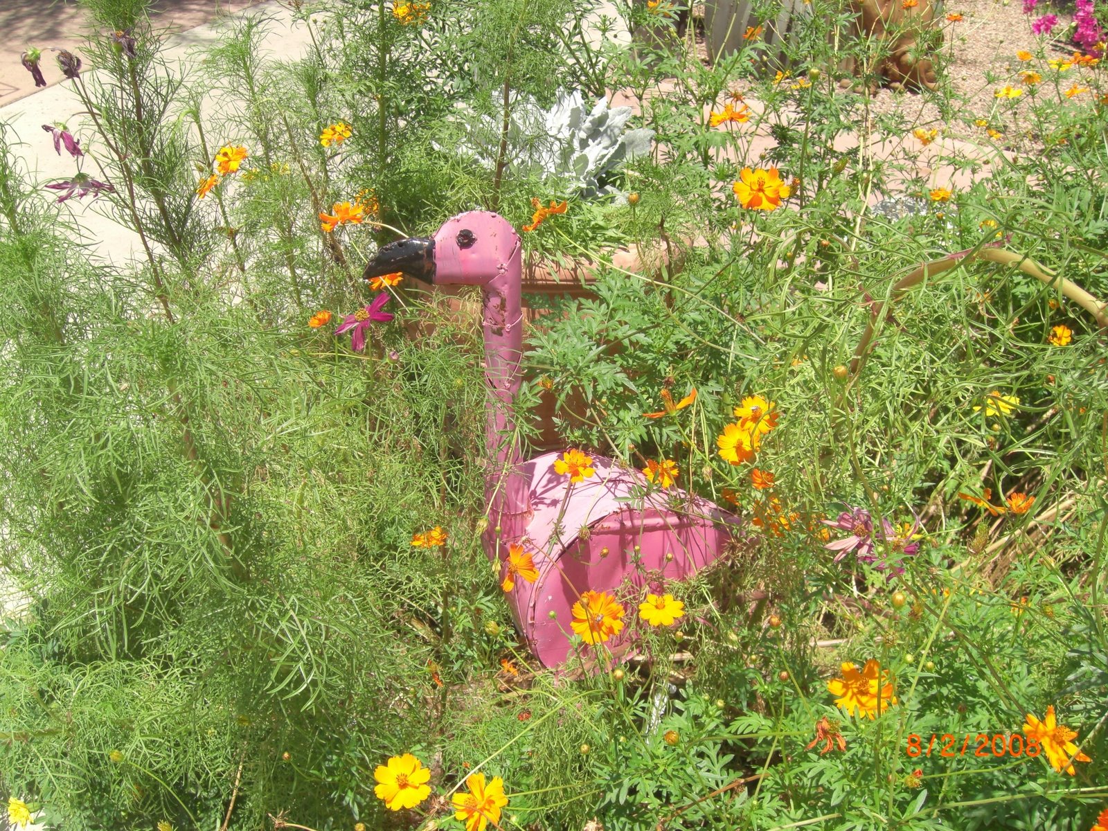 [flamingo+and+flowers.JPG]