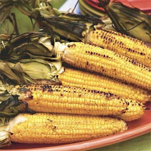 [corn.jpg]