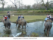 Elephant ride in Chitwan