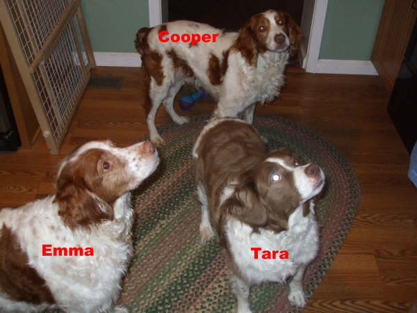 [Cooper+7+Emma,_Tara,_Cooper.jpg]