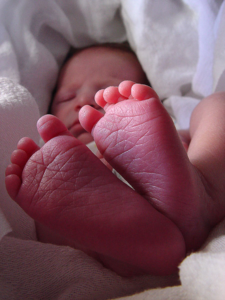 [Baby+feet.jpg]