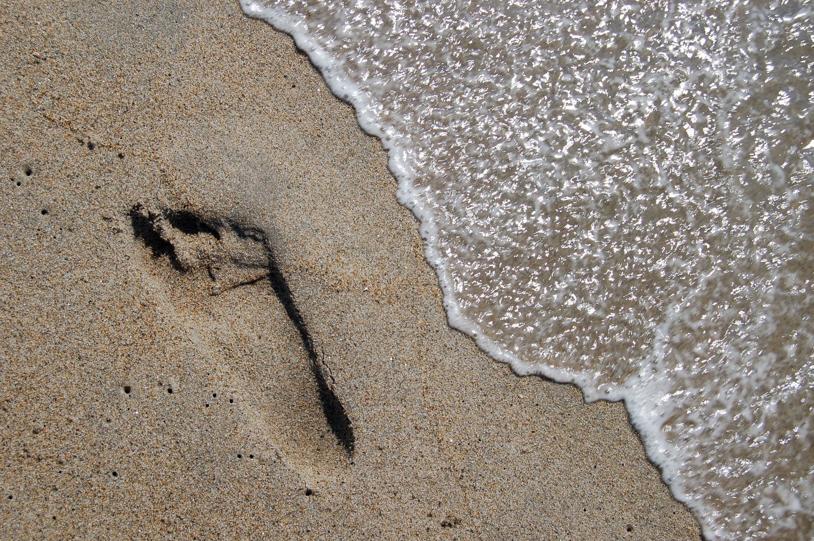 [Footprint.jpg]