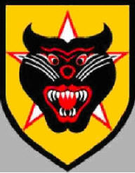 Biệt Động Quân Logo
