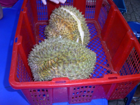 [Our+durians.JPG]