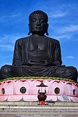 [Buddha+on+eight.jpg]