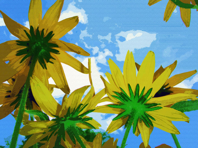 [Sunflowers+small.jpg]