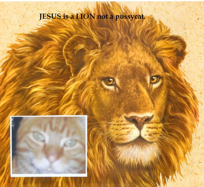 [Jesus+is+a+Lion+not+a+Pussycat.+blog.jpg]