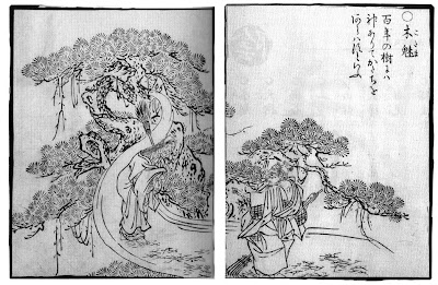 Японская мифология SekienKodama