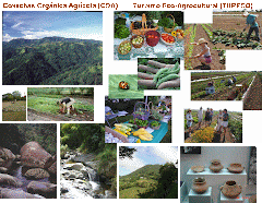 Programa Agro-Cultural