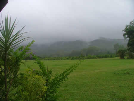 [Rainy_mountain_range_in_mist.jpg]