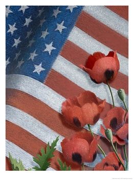 [011C0204LL~Poppies-and-American-Flag-Posters.jpg]