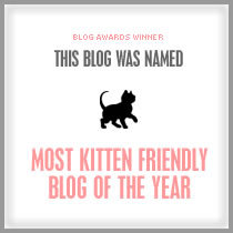 [award_kitten+-+emma.jpg]