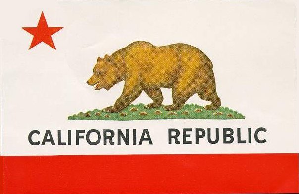 [california_flag.jpg]