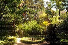 [Jardin-Botanico---Historico--La-Concepcion--Malaga-Andalucia-Espana---21-04-2004--_5068[1].jpg]