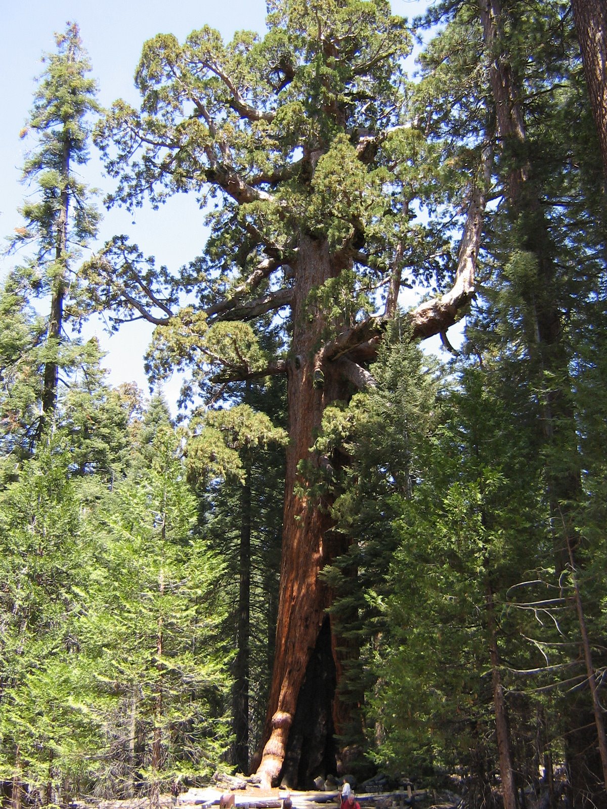 [Yosemite-082.jpg]