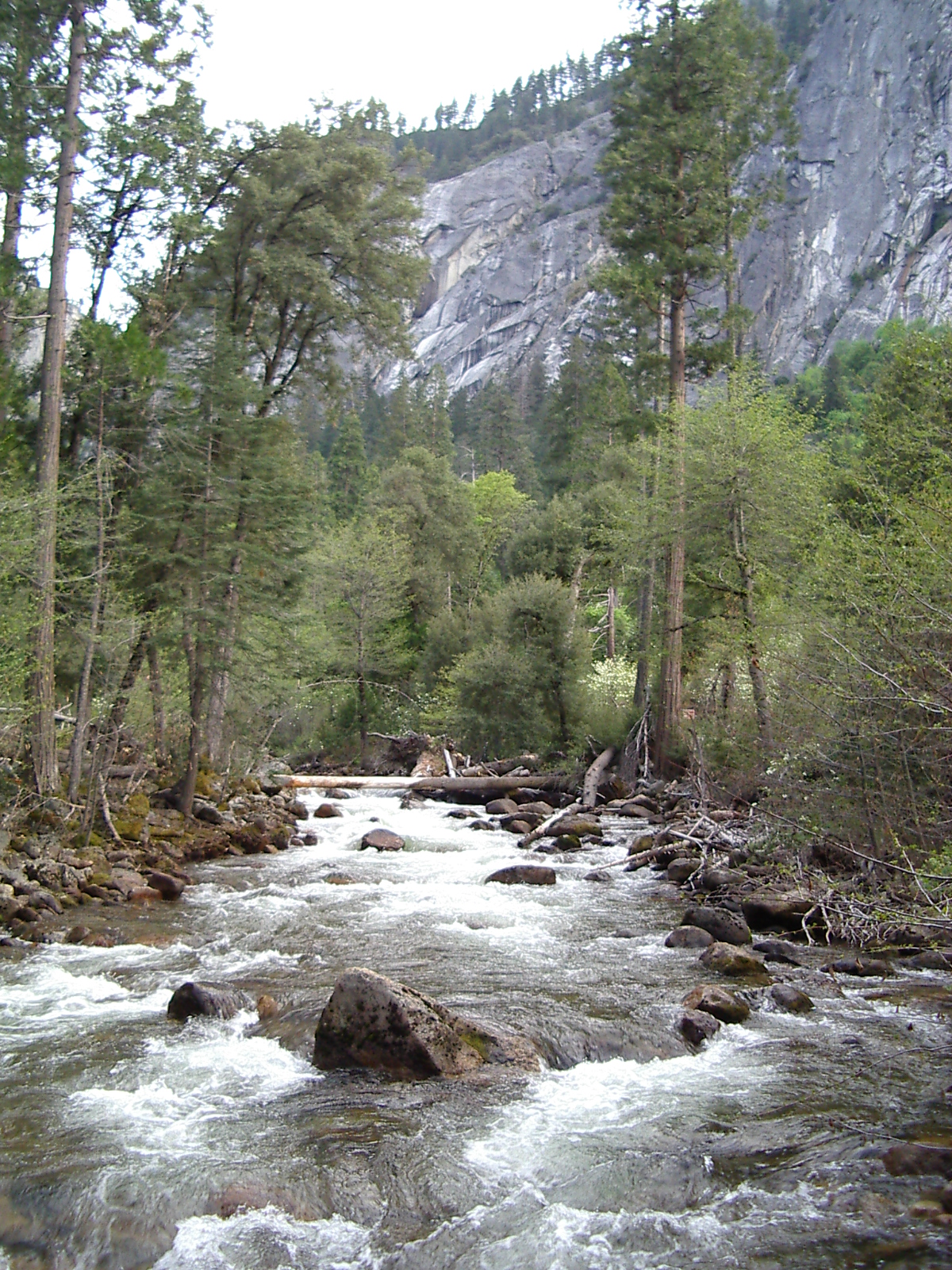 [Yosemite-038.jpg]