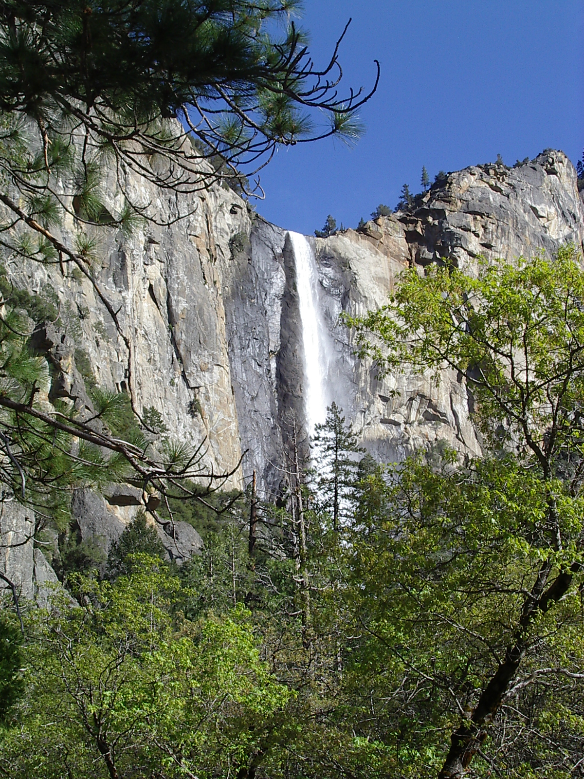 [Yosemite-029.jpg]