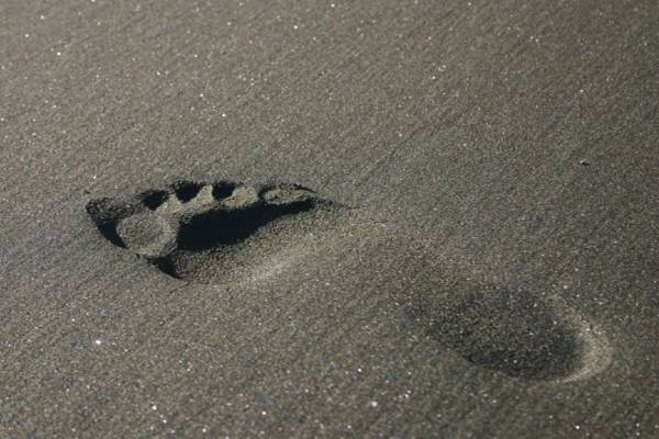 [Footprint+on+the+beach.jpg]