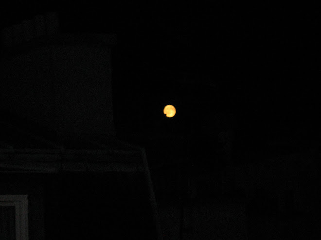 Luna llena 29 de Agosto 2007